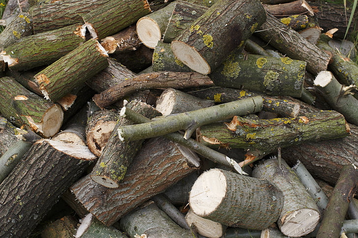legna da ardere, Drôme, albero, foresta, mucchio, giro, frocio