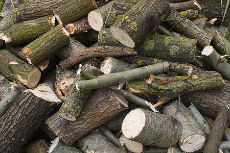 kayu bakar, Drôme, pohon, hutan, tumpukan, putaran, homo