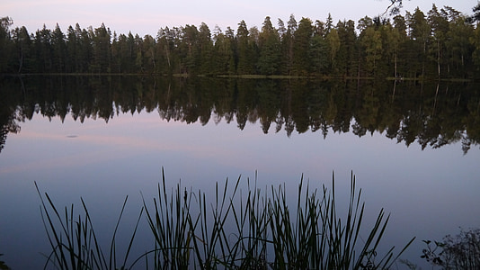 湖, 今晩, 水, サンセット, 自然, フォレスト