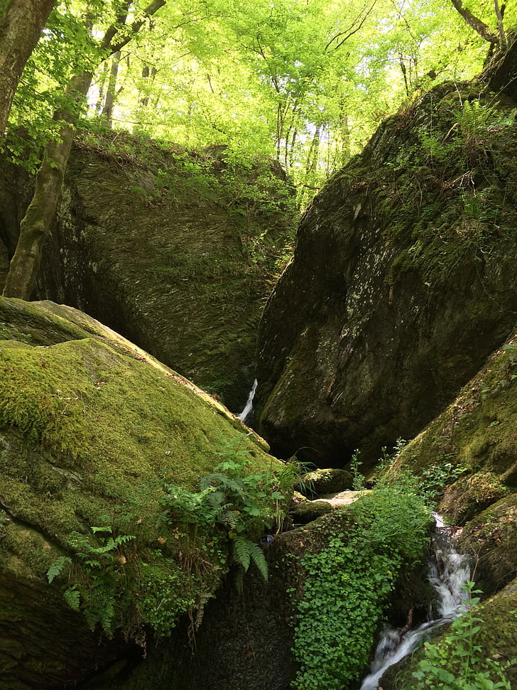 ehrbach, 자연, 찐 득한, 바위, 물, 캐년, 흐름