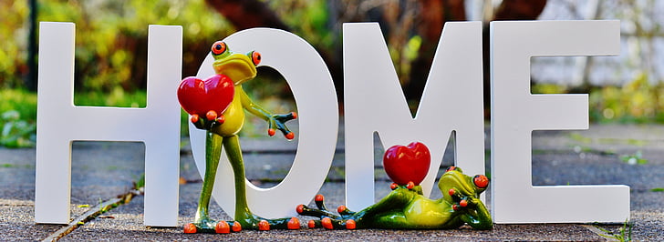 at home, lettering, frogs, love, romance, affection, heart