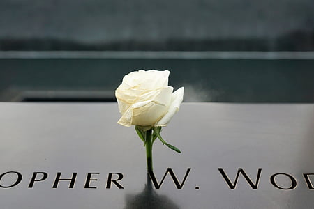 spomenik Ground zero, New york, ZDA, Manhattan, Amerika, Rose, ime