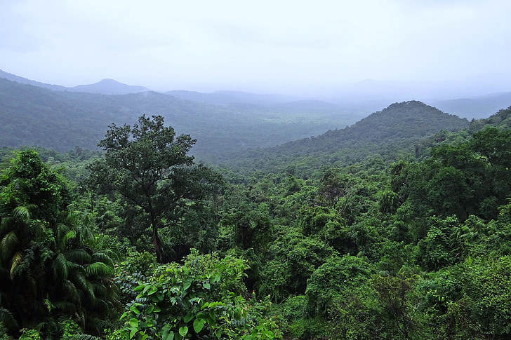esőerdő, mollem nemzeti park, nyugati Ghatok, hegyek, növényzet, felhők, Goa