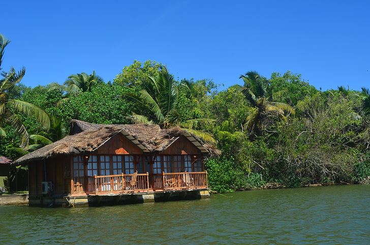 vacances, Cabana, barraca, palmeres, palmes, tropical, natura