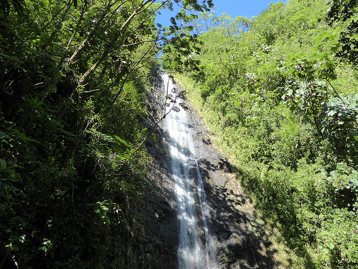 Manoa cau, Hawaii, cascades