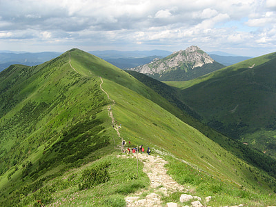 bagsiden af højderyggen, vandreture, Trail, Ridge, Hill, rapporteret, bjerge