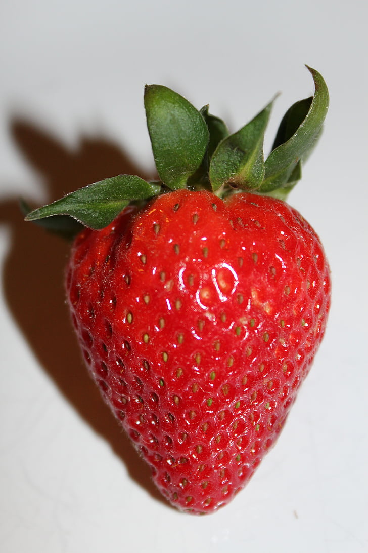maasikas, marja, punane, puu, Armas, maitsev, puuviljad