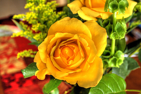 buket, roser, gul, buket, blomstermotiver, Blossom, romantisk