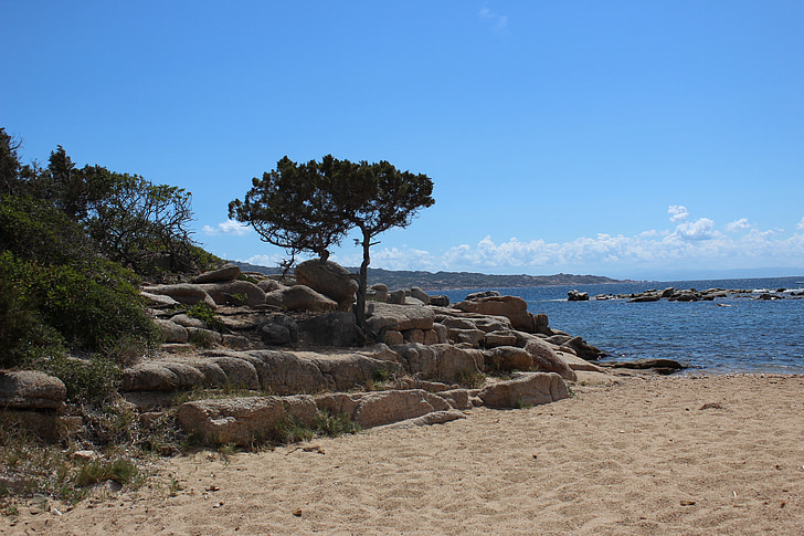 Beach, morje, sredozemski, Korzika
