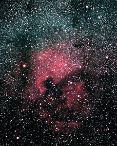 north america nebula, ngc 7000, galaxy, space, diffuse gasnebel, constellation swan, gas fog