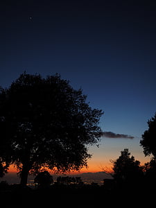 drzewo, zachód słońca, W nocy, spokojnej, ciemne, Palma, Palma de mallorca