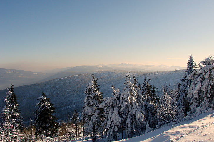 montanha, Inverno, Krkonose, Polônia, árvore, neve, Europa
