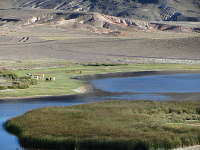 озеро, Природа, воды, пейзаж, Перу, нагорье, Альтиплано