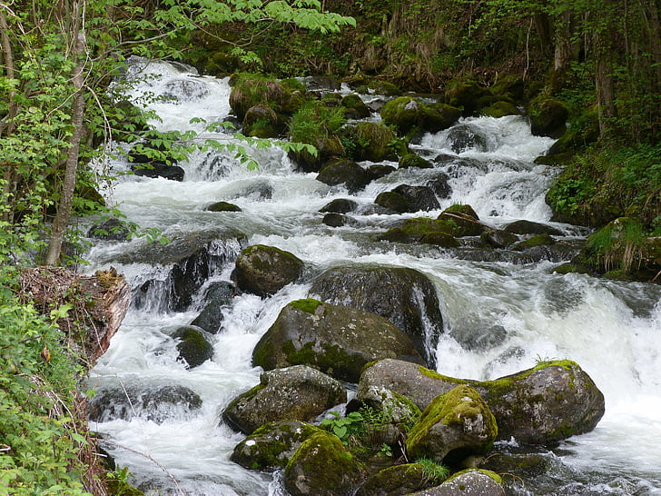 Râul, natura, apa, cascadă, Stream, pădure, în aer liber