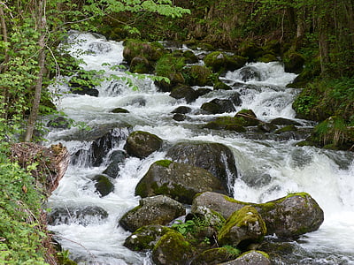 river, nature, water, waterfall, stream, forest, outdoors