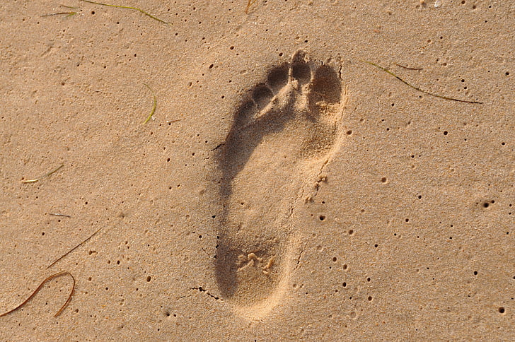footprint, sea, beach, sand, sand beach, nature, summer