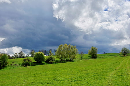 Příroda, krajina, Petrovice