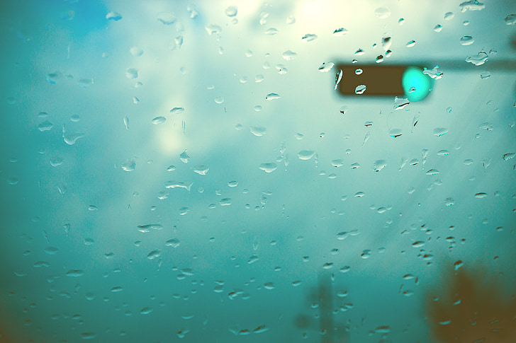 Tabitha, gouttes de pluie, non, le feu de circulation, fenêtre de, eau, verre