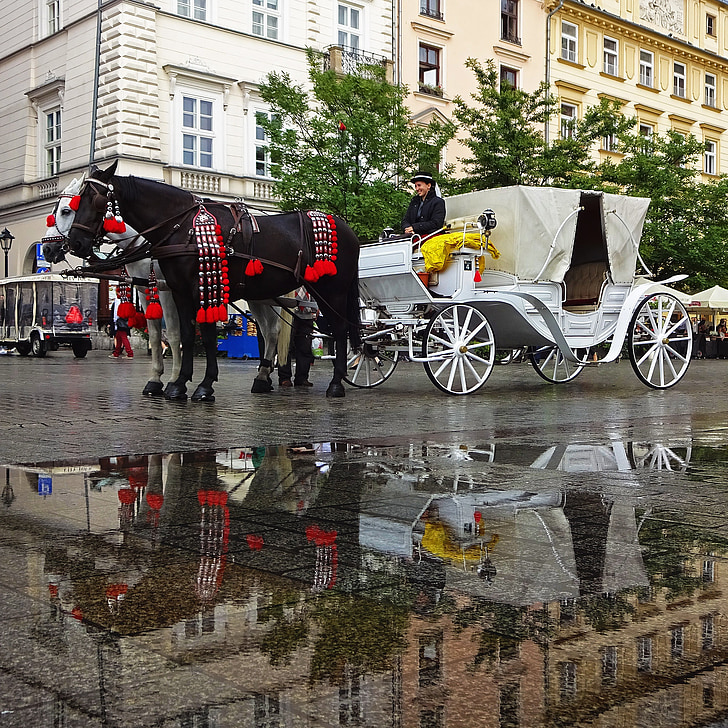 CAB, Chaise, Kraków, markedet, Team, hester, refleksjon