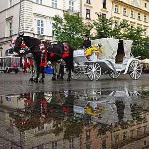 taksi, kursi, Krakow, pasar, Tim, kuda, refleksi