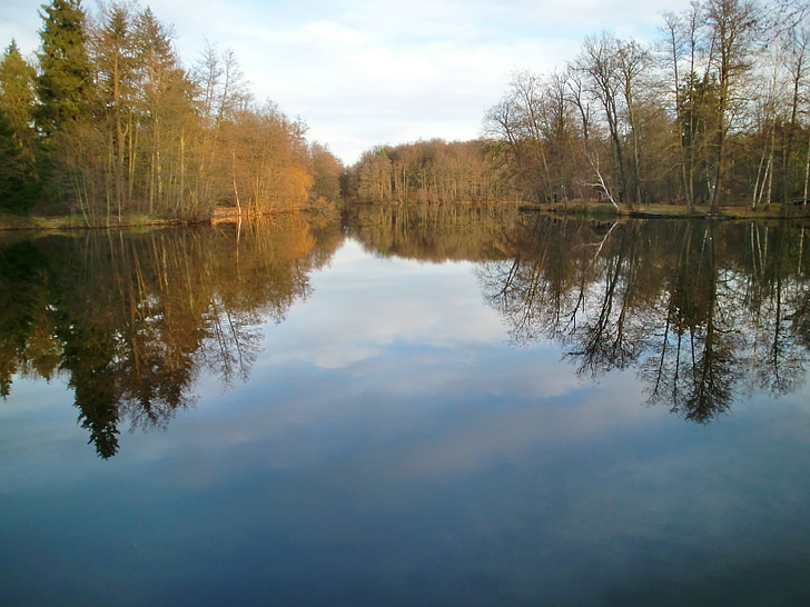 lake, mirroring, sky, autumn, trees
