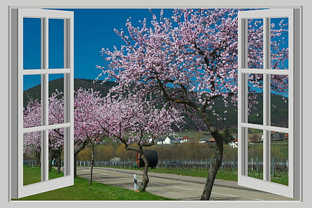 пейзаж, панорама, Пролет, цветя, живописна, изглед, природата