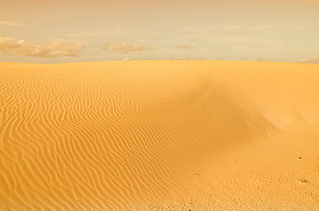 gurun, Dune, pasir, alam, panas, berpasir, kelangsungan hidup