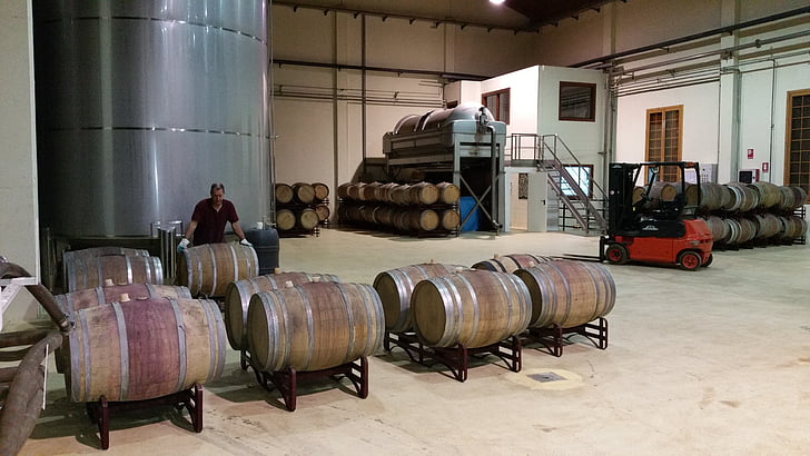 винарска изба, бъчви, производство на вино, Lyng