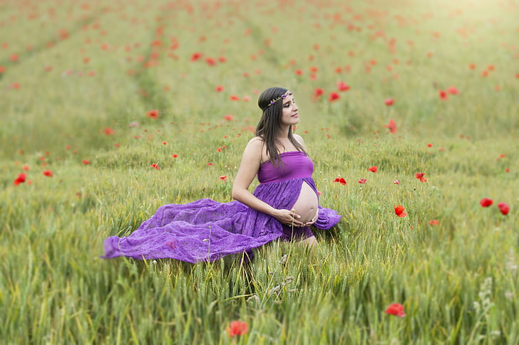 pregnancy, wheat, pregnant, poppies, field, green, violet