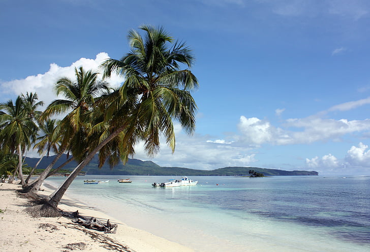 Las galeras, samana, Dominikaani Vabariik, Kariibi mere saared, Palm puud, Palm beach, kalapüügi paat