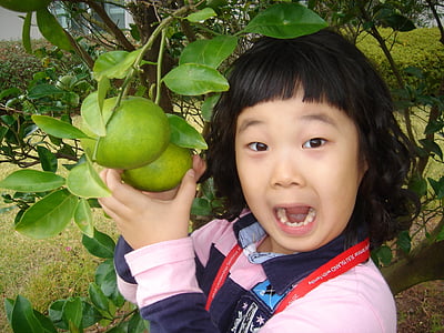 Kijk naar de eenvoudige, verrassing, Citrus, Oranje meisje, kind, fruit, voedsel