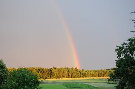 arco iris, bosque, cielo, tempestad de truenos