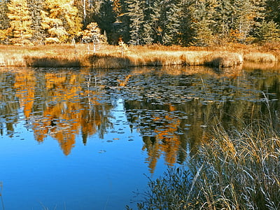 pond, reflections, autumn, nature, water, minnesota, wilderness