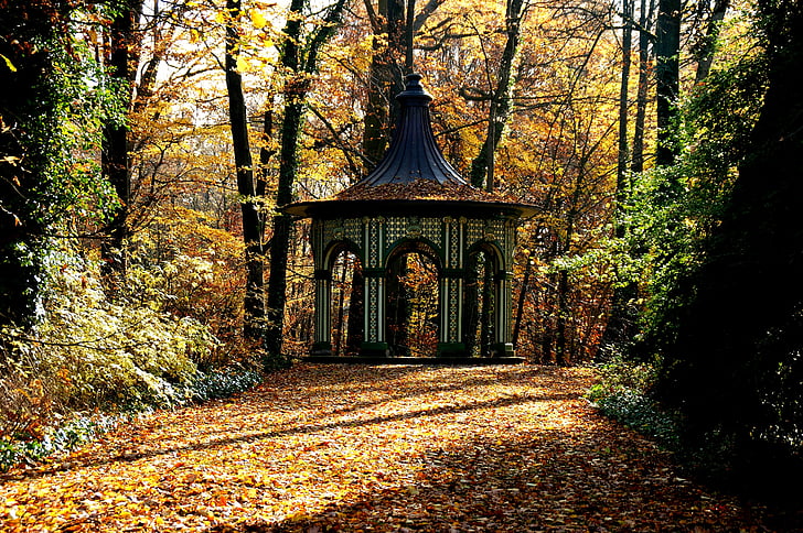 jeseni, paviljon, listi, dreves, drevo, arhitektura, gozd