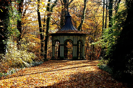 ősz, pavilon, levelek, fák, fa, építészet, erdő