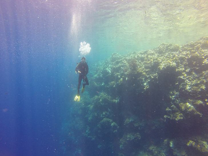 Diver, Palau, Drop-off, Océano, tropical, profundo, buceo