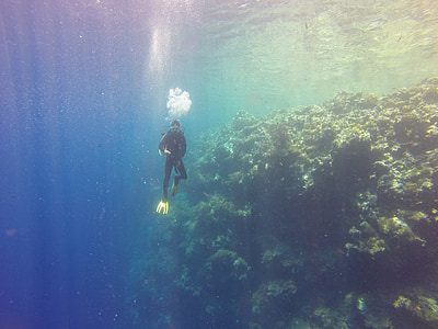dykker, Palau, drop-off, hav, Tropical, dyp, dykking