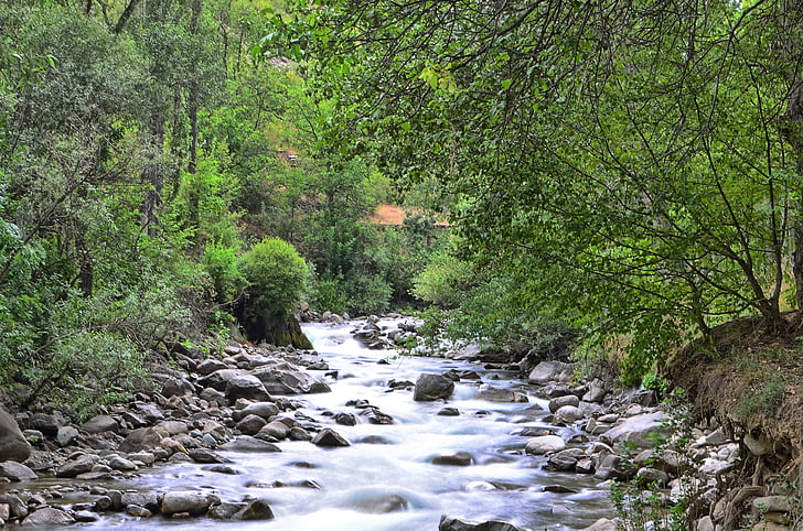 river, landscape, turkey, nature, green, open air, natur