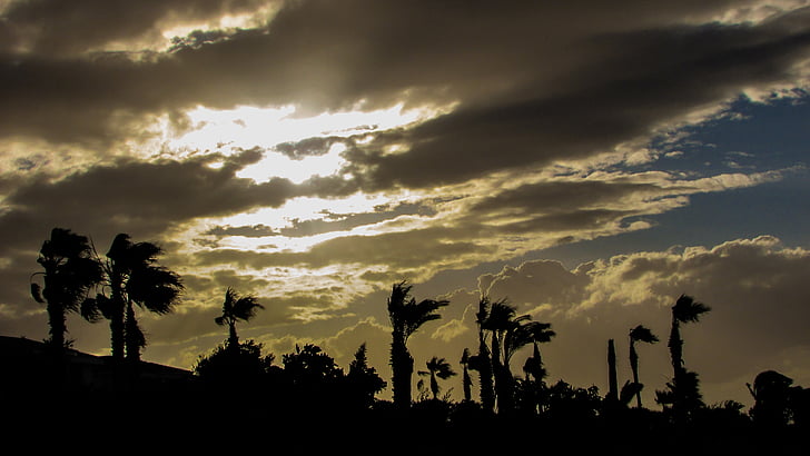 Cypr, Kapparis, po południu, światło słoneczne, palmy, niebo, chmury