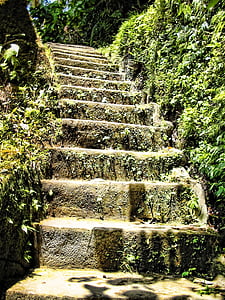 scale, invaso, aumento, foglie, Bush, scale di pietra, emersione