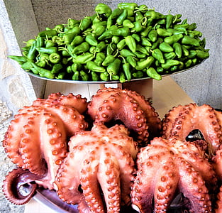 spain, food, octopus, pulpo, restaurant, traditional, mediterranean