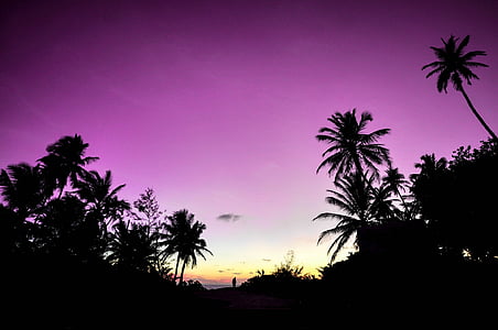 atol, pláž, pár, cíl, svátek, Líbánky, ostrov