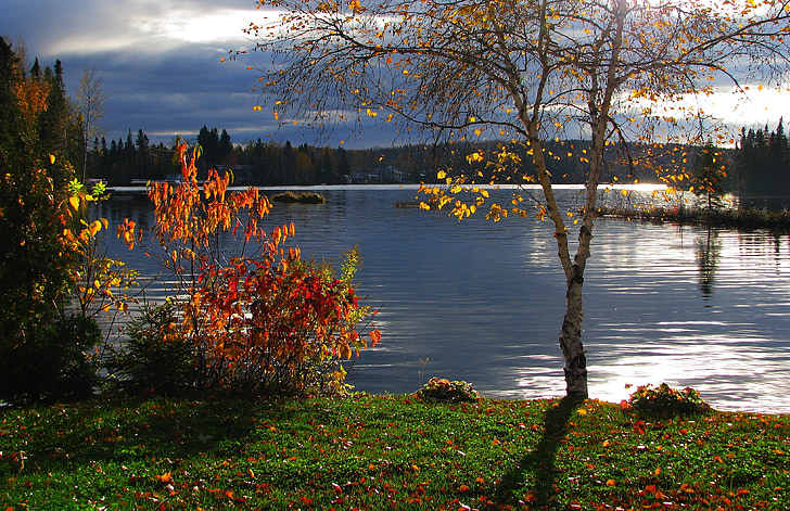 Есенен пейзаж, езеро, вода, дървета, листа, цветове, Размисли