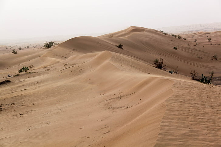désert, sable, mince, Dubai, dunes de sable, dune, u a e