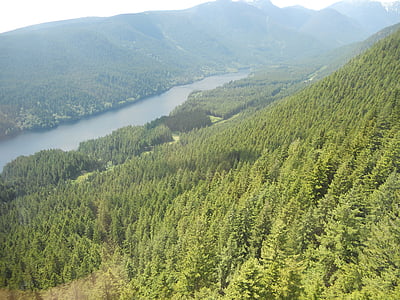 Kanada, Vancouver, Příroda, Grouse grind, Britská Kolumbie, scenérie, stromy