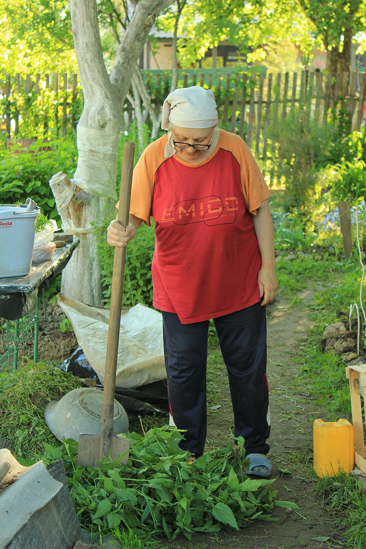 mother-in-law, dacha, russia, nature, garden, woman, shovel