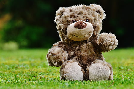 Тедди, Мягкая игрушка, Чучело, плюшевый медведь, мило, ребенок, сладкий