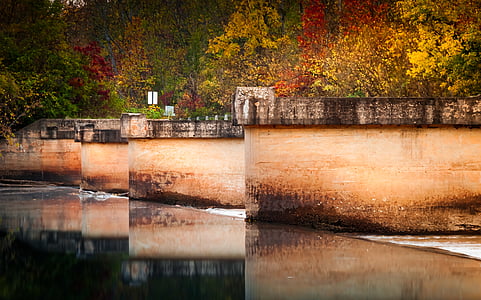 autumn, bridge, color, daylight, environment, fall, forest