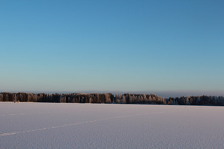 Panorama, žiemos peizažas, ledinis miško