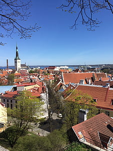 Tallinn, Europa, tetto, architettura, europeo